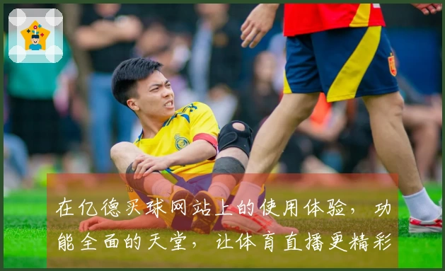 在亿德买球网站上的使用体验，功能全面的天堂，让体育直播更精彩